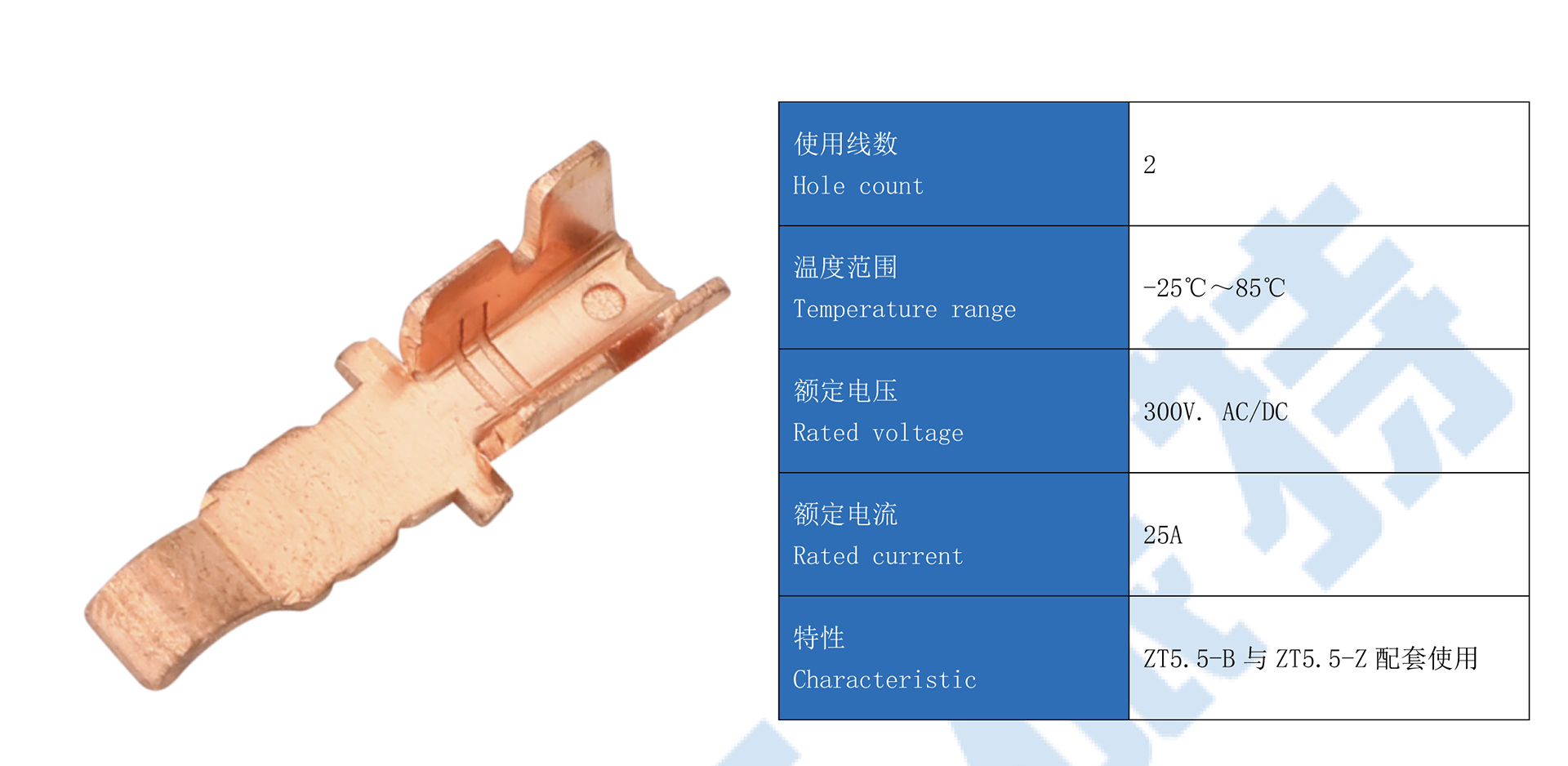 5.5详情页_ZT5.jpg